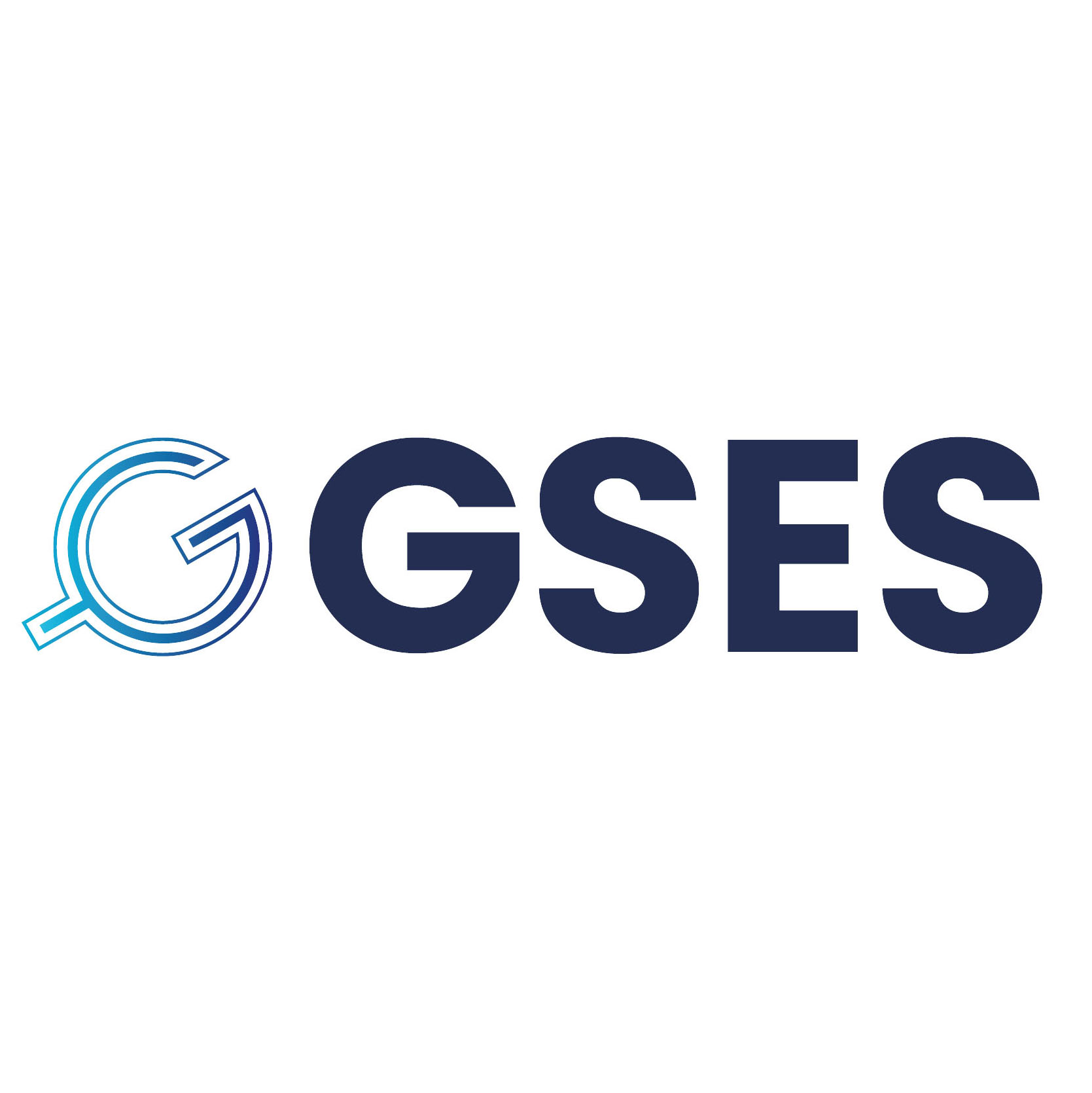 GSES Management B.V. (GSES)
___
Partner